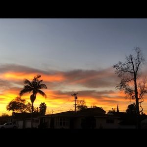 Meet your Posher, Sylvia